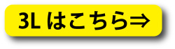 大きいサイズ 3Lサイズ