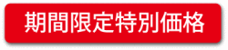 期間限定 特別価格